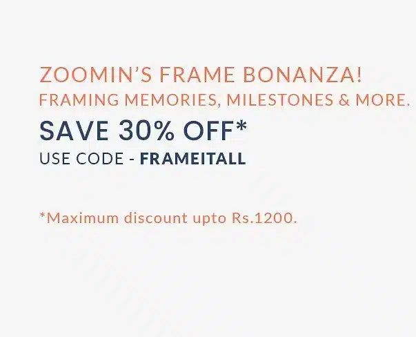 ZoomIn Frame Bonanza